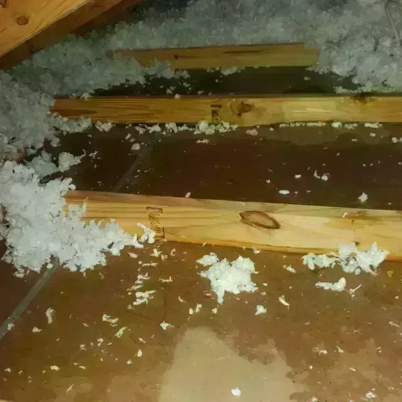 Attic Water Damage in East Honolulu, HI